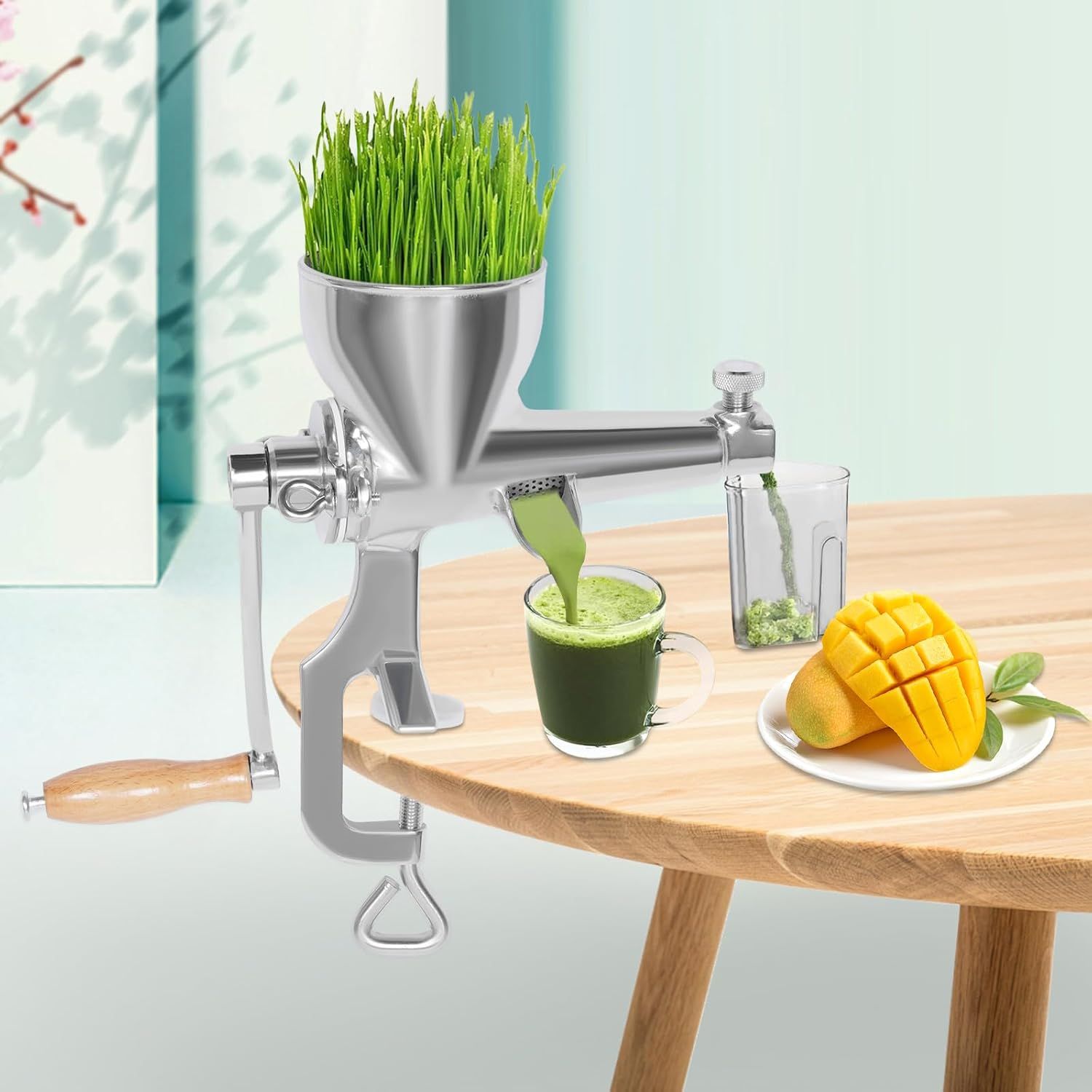 Manual Stainless Steel Wheatgrass Juicer Fruit Extractor