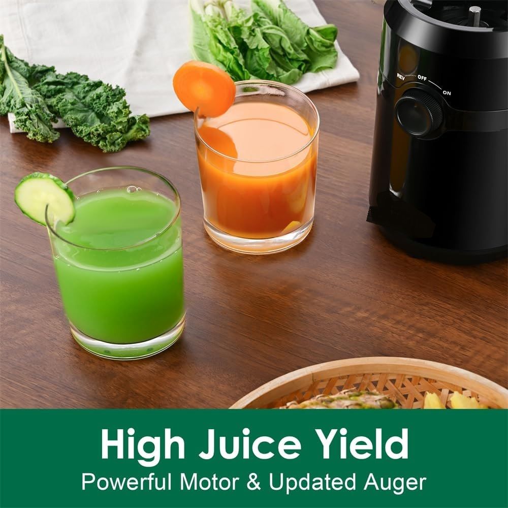 Cold Press Juicer 200W 1L Self Feeding Masticating Juice Extractor