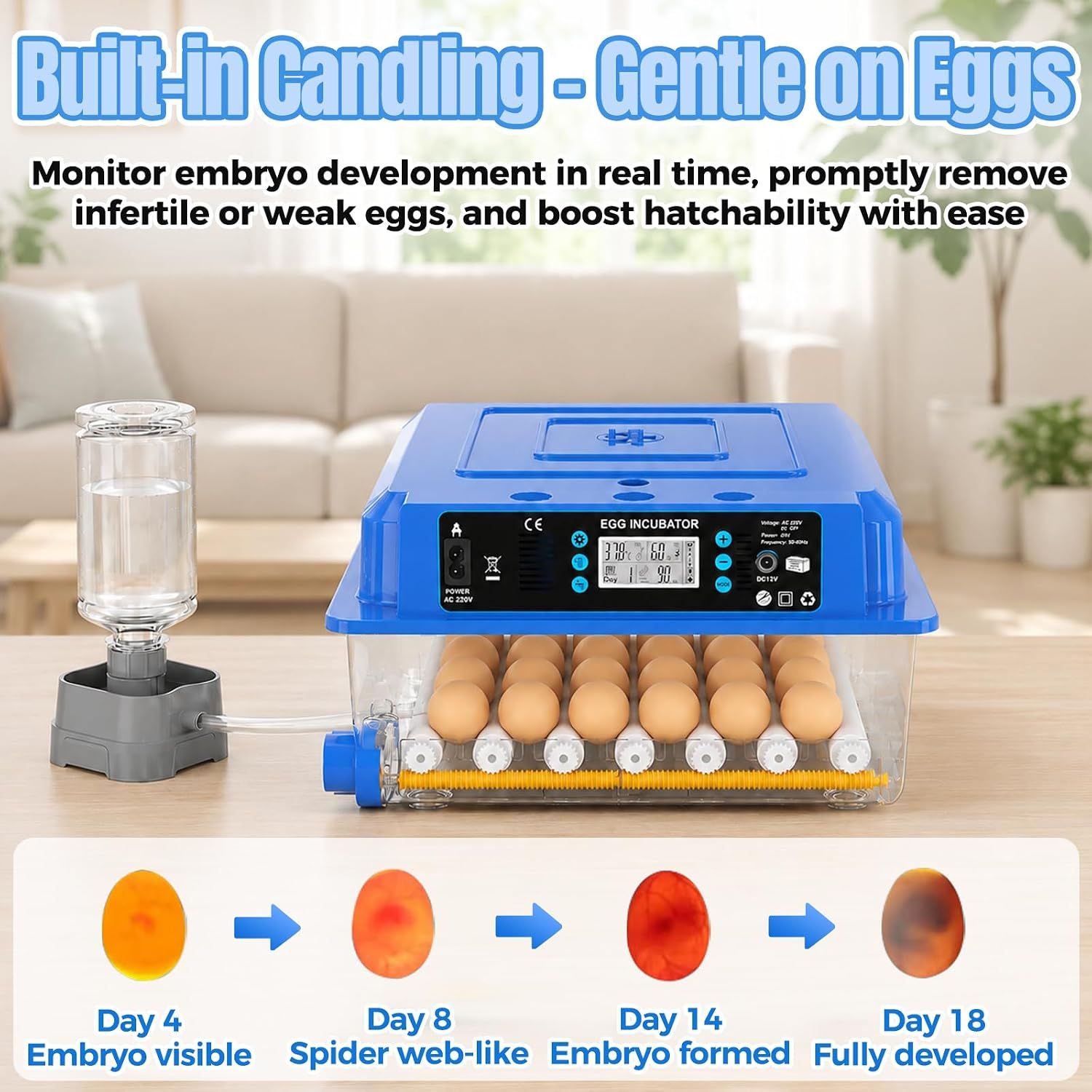 36 Egg Fully Automatic Incubator Temperature Humidity