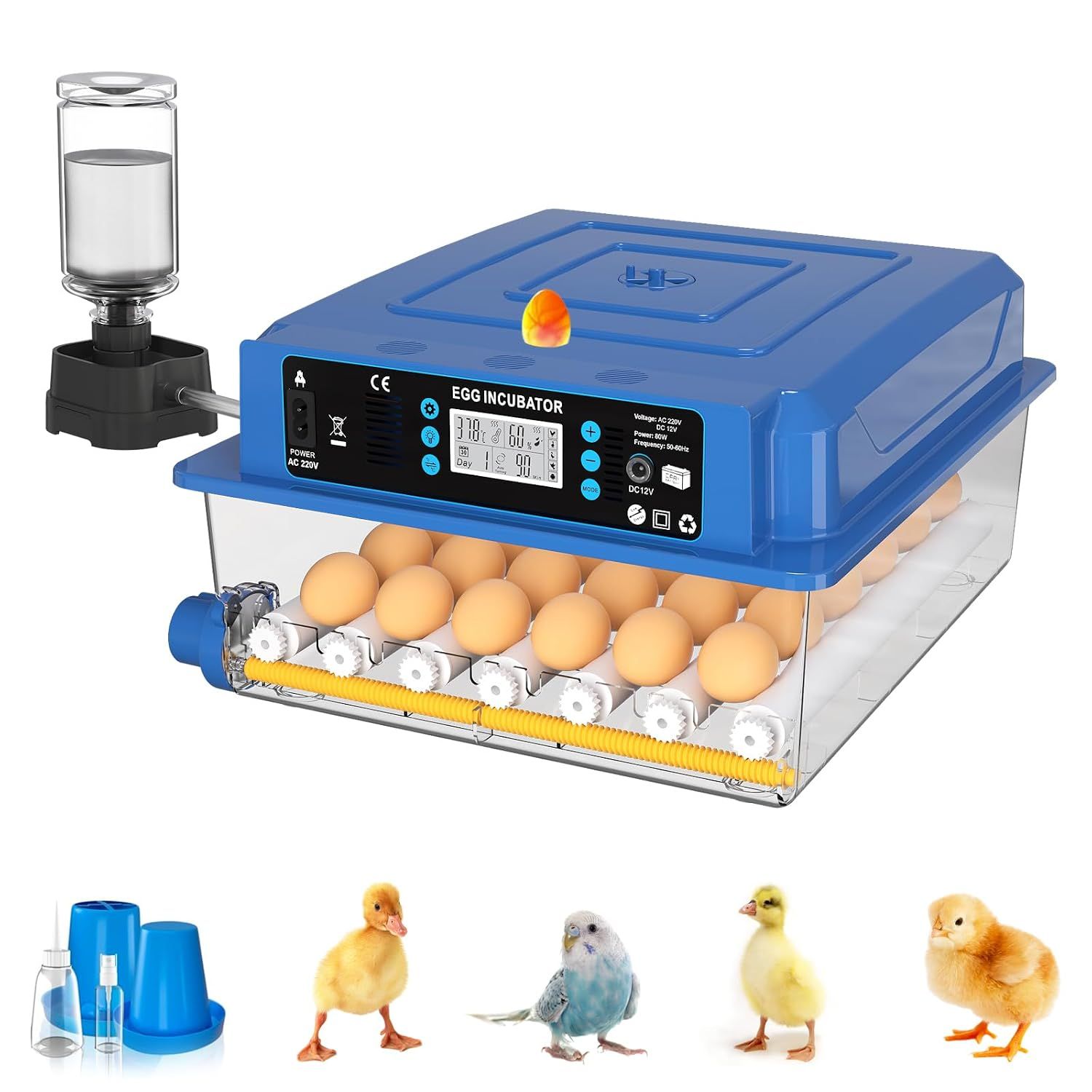 36 Egg Fully Automatic Incubator Temperature Humidity