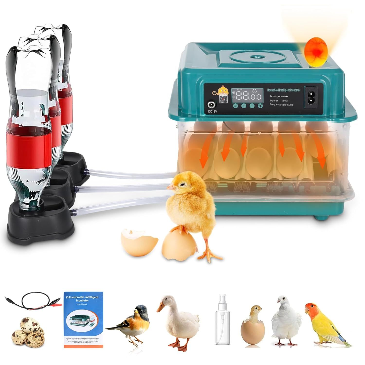 Automatic Egg Incubator for Chicken, Duck, Quail &amp; Goose Eggs – 6–20 Egg Capacity, Temperature &amp; Humidity Control, Auto Turning