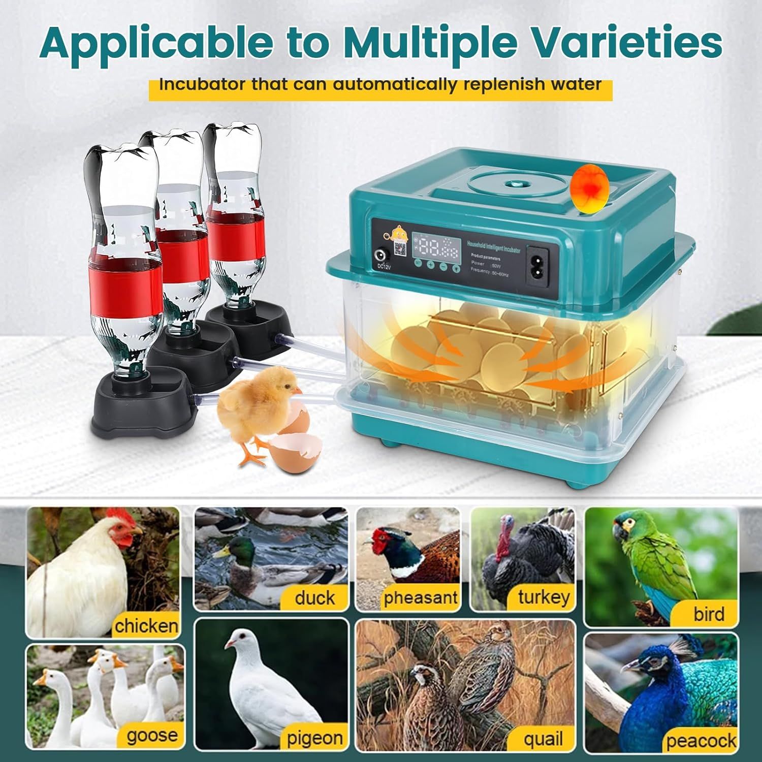 Automatic Egg Incubator for Chicken, Duck, Quail &amp; Goose Eggs – 6–20 Egg Capacity, Temperature &amp; Humidity Control, Auto Turning