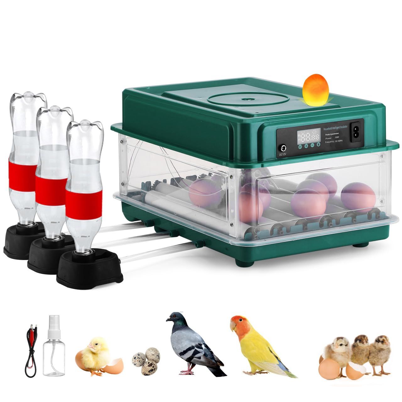 Fully Automatic Egg Incubator, Chicken Egg Hatcher with Temperature Control, Automatic Turning, Water Refill, LCD Display &amp; Dual Power