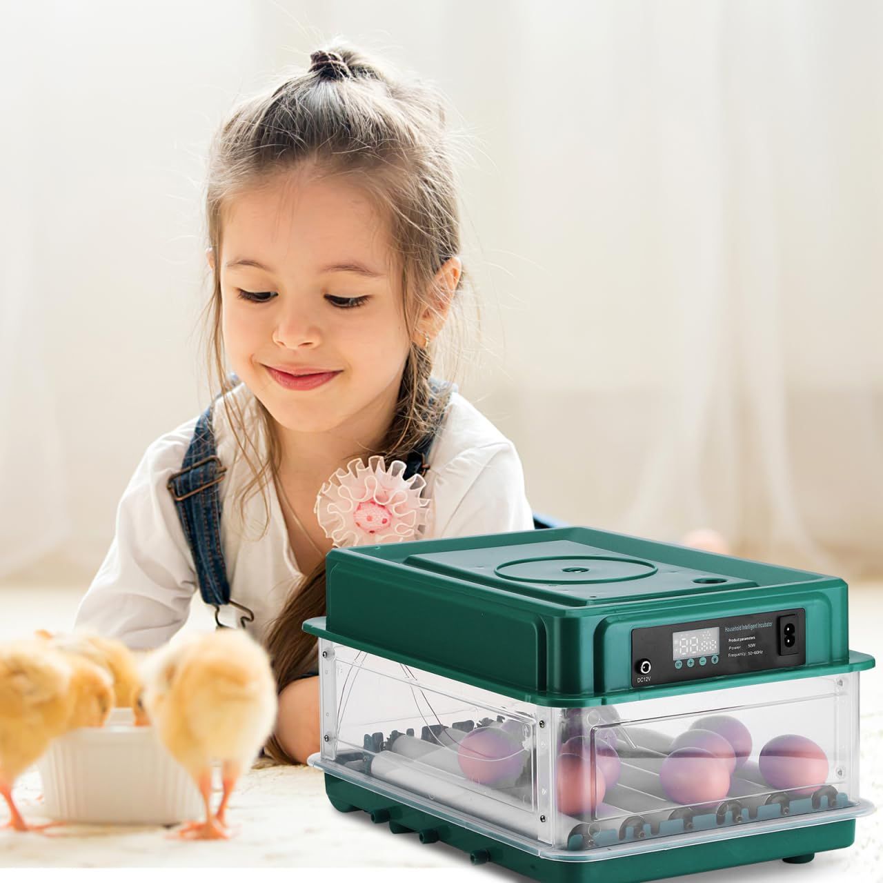 Fully Automatic Egg Incubator, Chicken Egg Hatcher with Temperature Control, Automatic Turning, Water Refill, LCD Display &amp; Dual Power