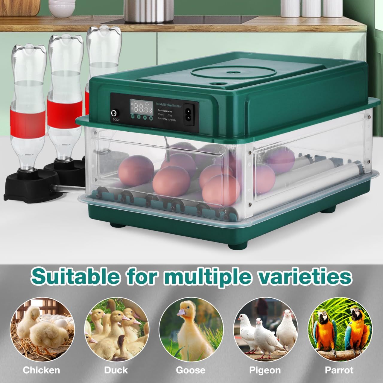 Fully Automatic Egg Incubator, Chicken Egg Hatcher with Temperature Control, Automatic Turning, Water Refill, LCD Display &amp; Dual Power