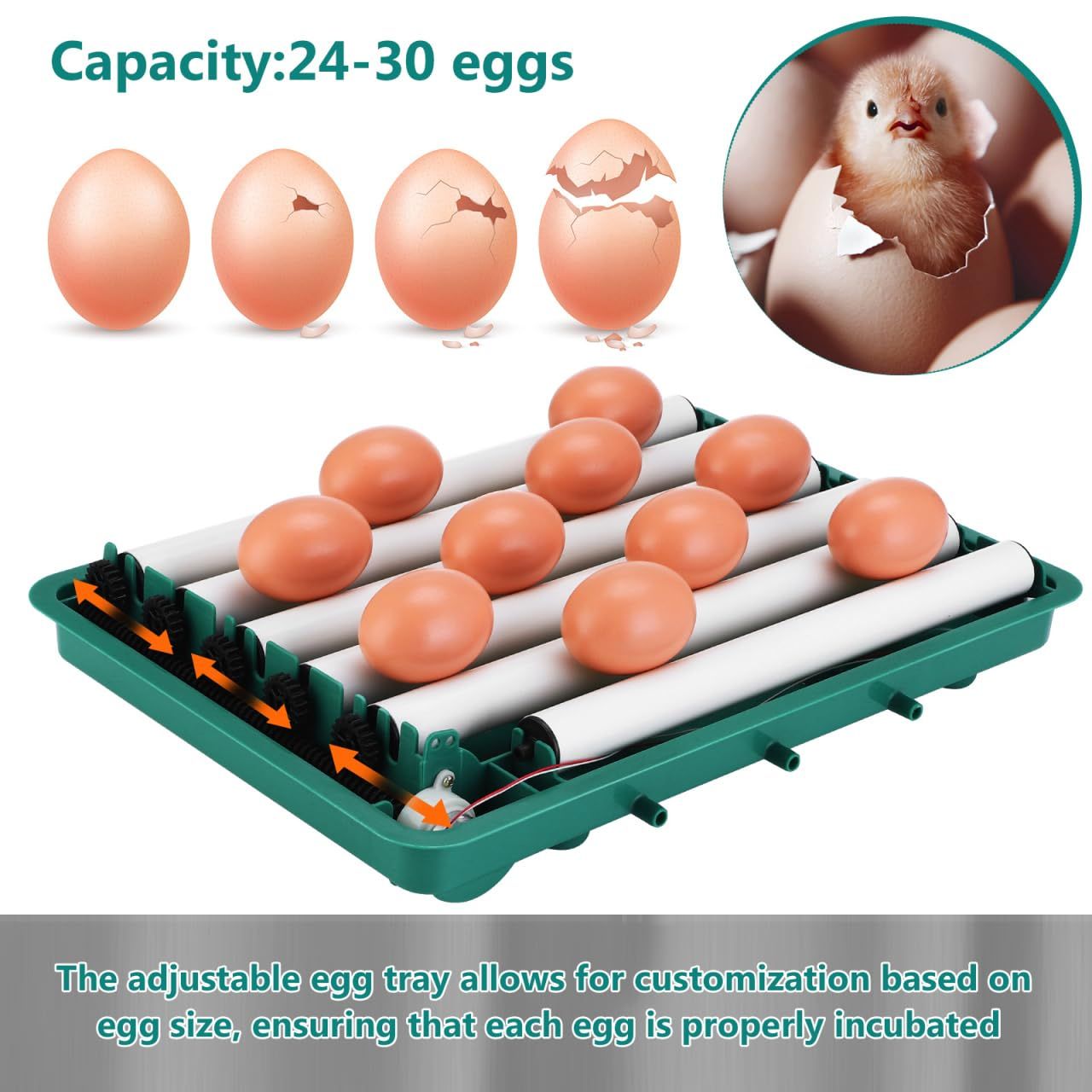 Fully Automatic Egg Incubator, Chicken Egg Hatcher with Temperature Control, Automatic Turning, Water Refill, LCD Display &amp; Dual Power