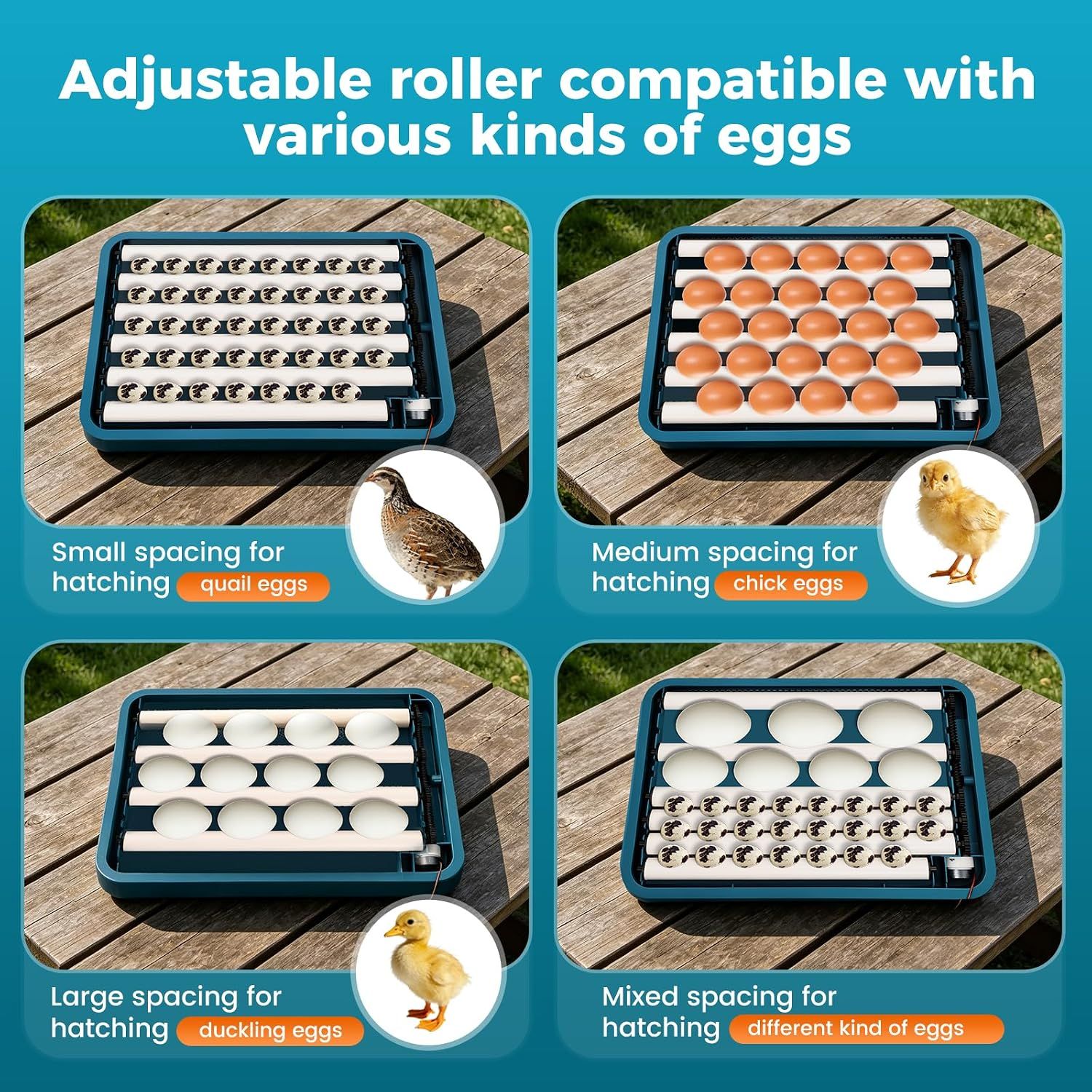 24 Egg Automatic Incubator with Digital Temperature Control