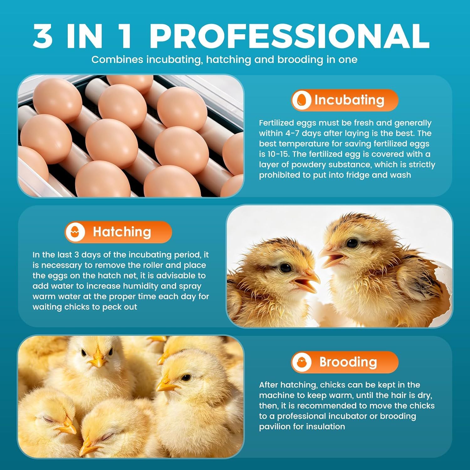 24 Egg Automatic Incubator with Digital Temperature Control