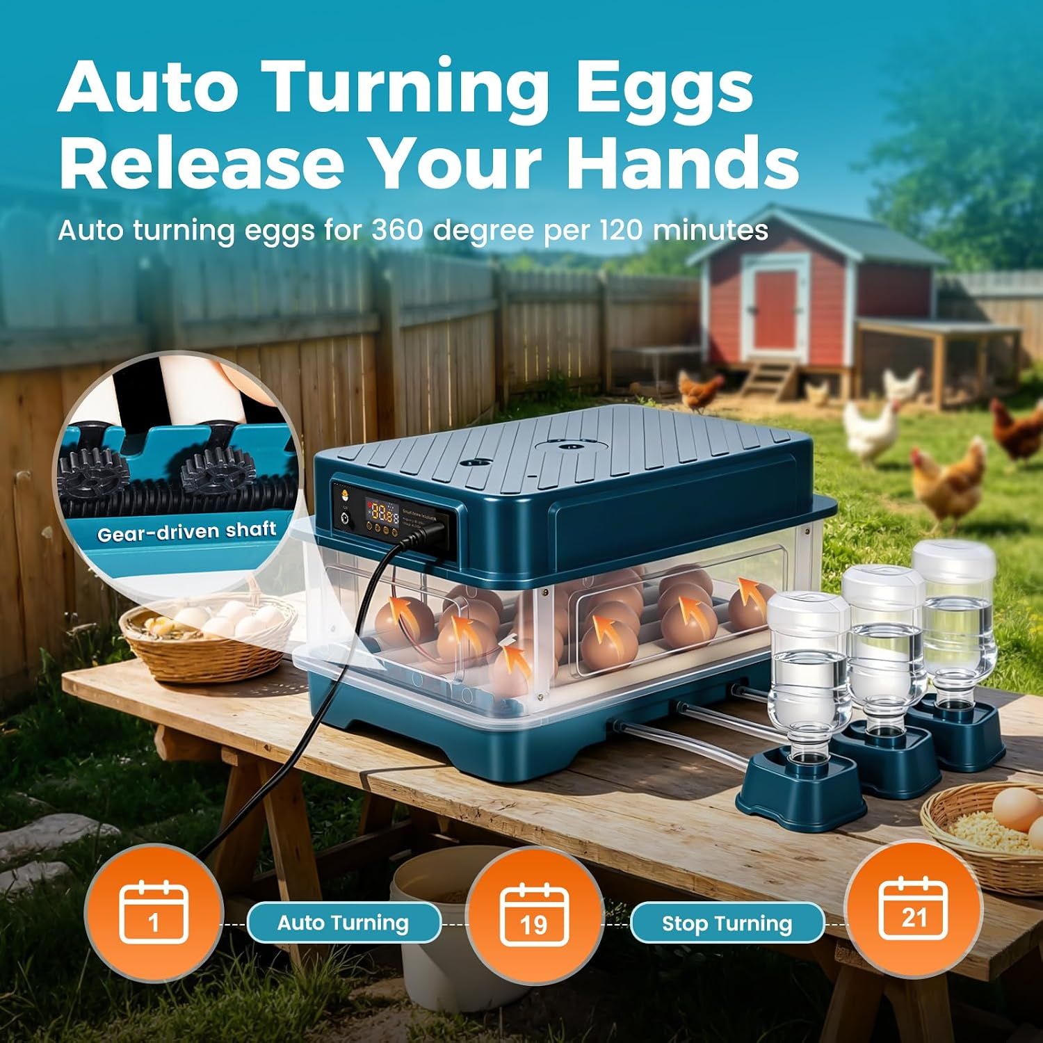 24 Egg Automatic Incubator with Digital Temperature Control