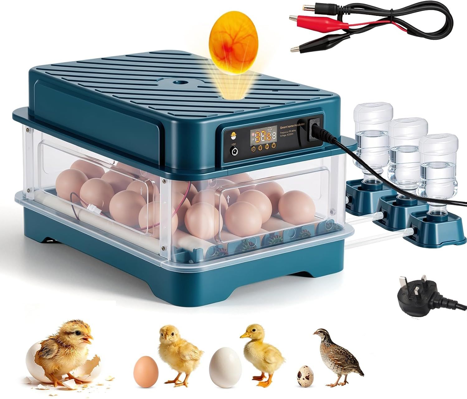 24 Egg Automatic Incubator with Digital Temperature Control
