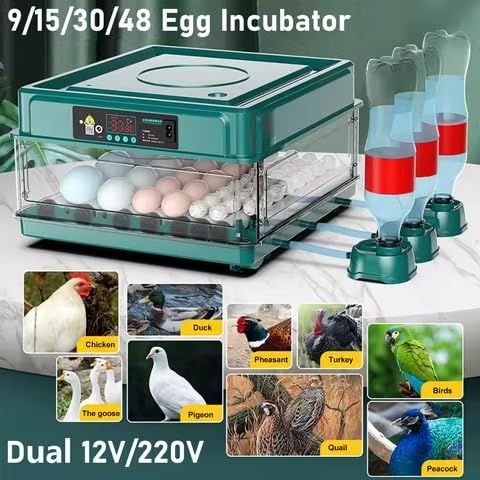 Egg Incubator 36 Egg Automatic Hatcher