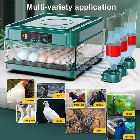 Egg Incubator 36 Egg Automatic Hatcher
