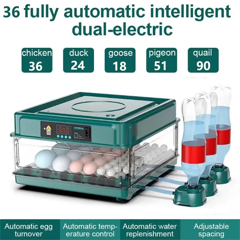 Automatic Egg Incubator – 36 Eggs, Digital Temperature Control &amp; Automatic Egg Turning
