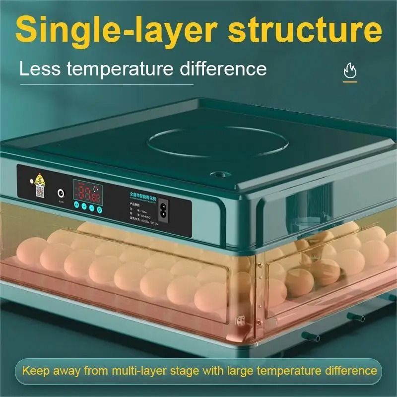 Automatic Egg Incubator – 36 Eggs, Digital Temperature Control &amp; Automatic Egg Turning