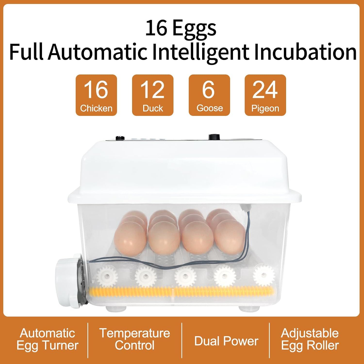 16-Egg Capacity, Automatic Egg Turning &amp; Dual Power Supply