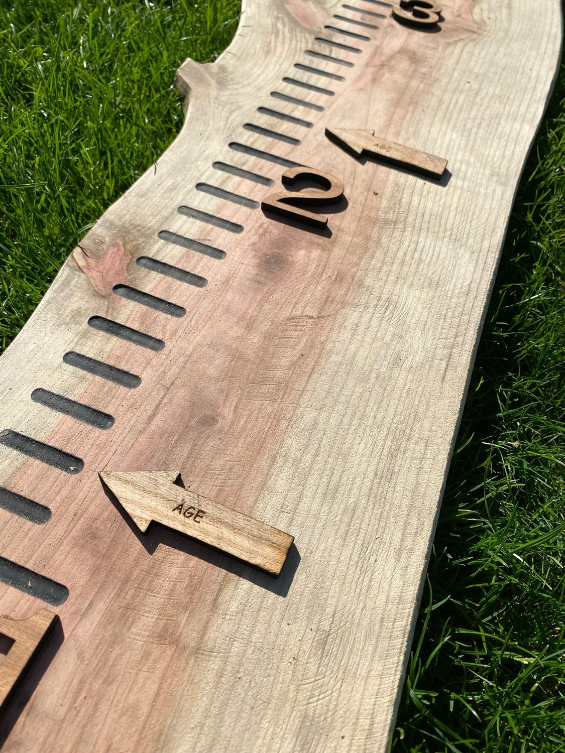 Age Tags For The Growth Chart