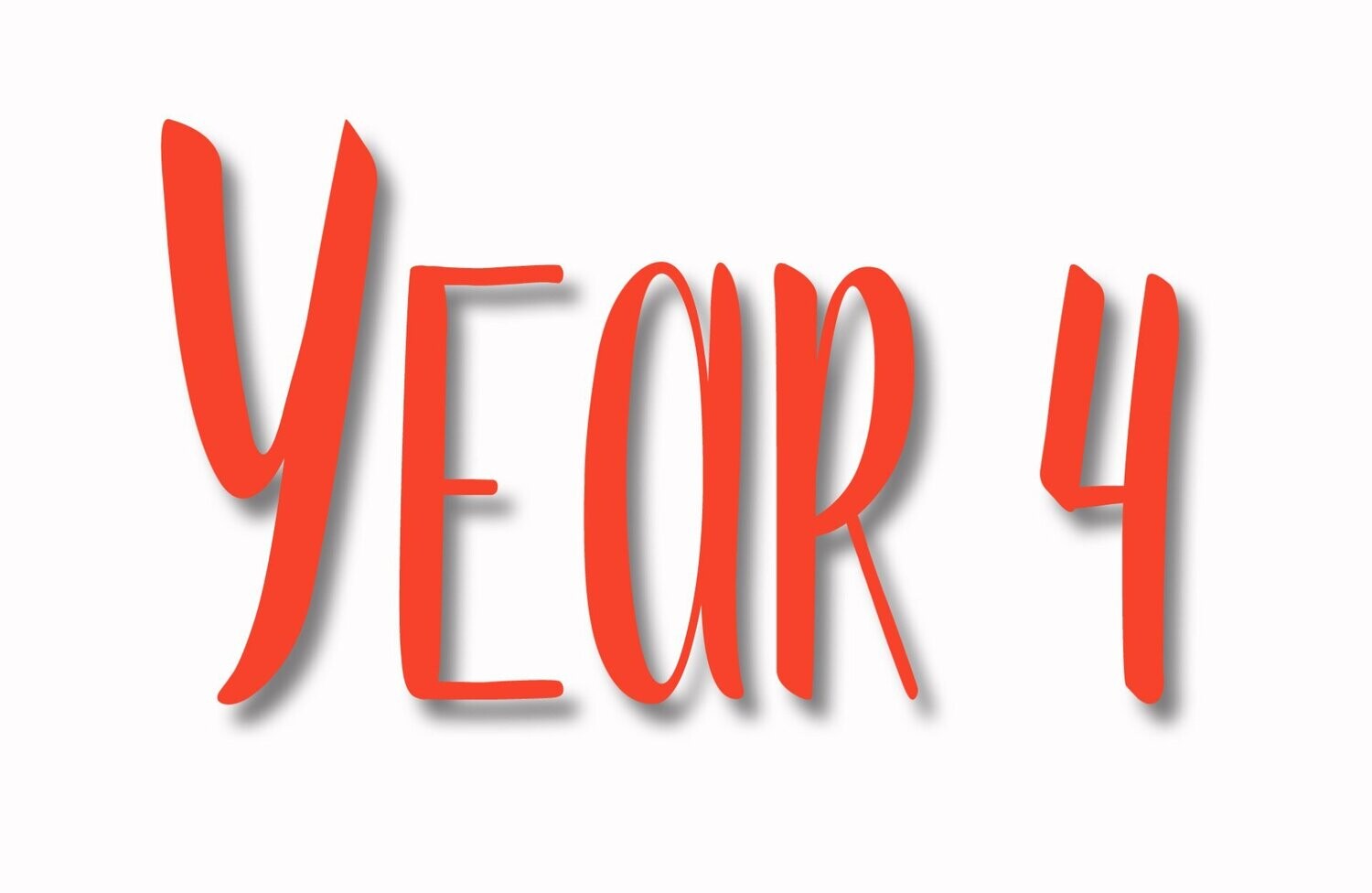 YEAR 4 - TUESDAYS - LEVEL A1.1 (MODULE 2)