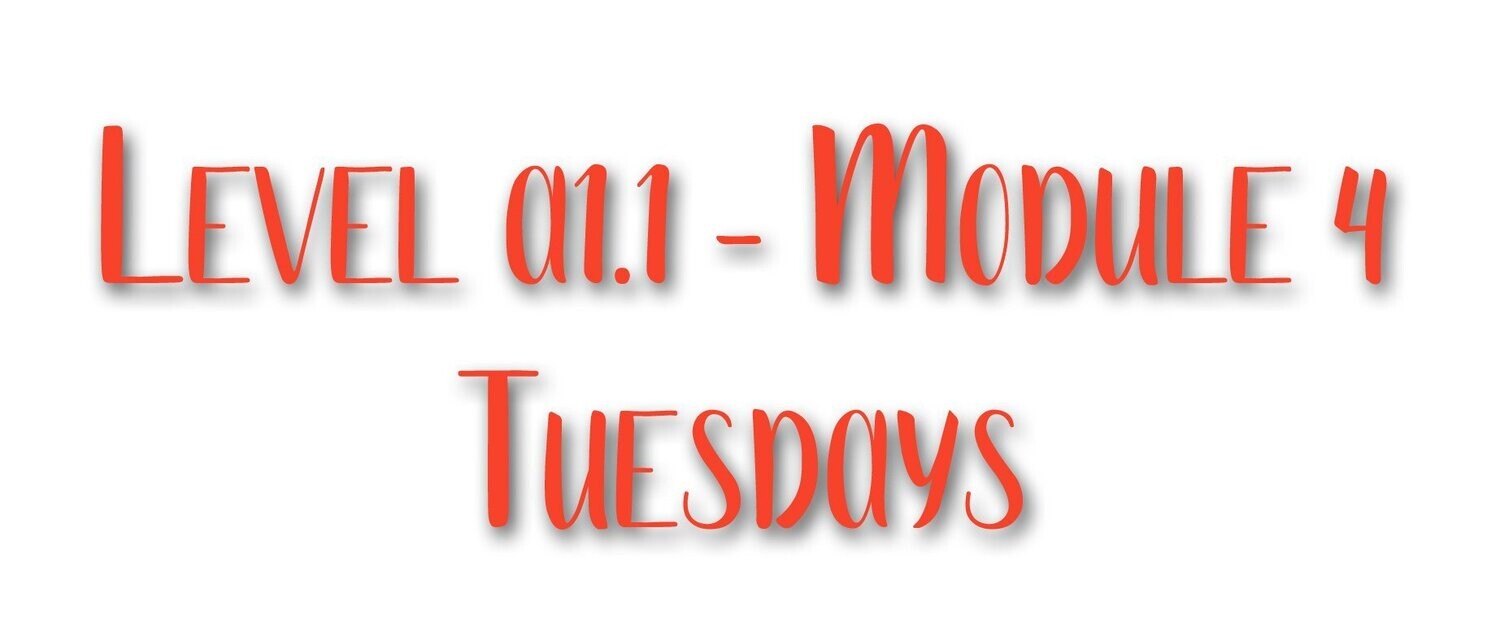 YEARS 3 & 4 - TUESDAYS - LEVEL A1.1 (MODULE 4)