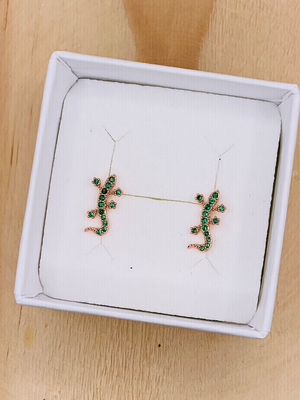 Earstud Salamander