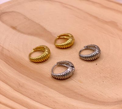 Earring twisted hoop
