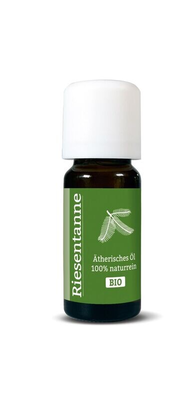 BIO Riesentanne 10ml