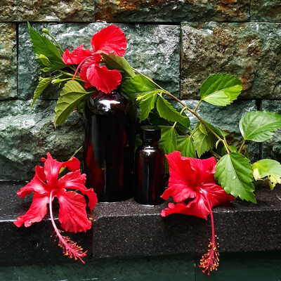 Hibiscus Fragrance Oil