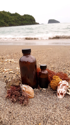 Sea Spray Fragrance Oil