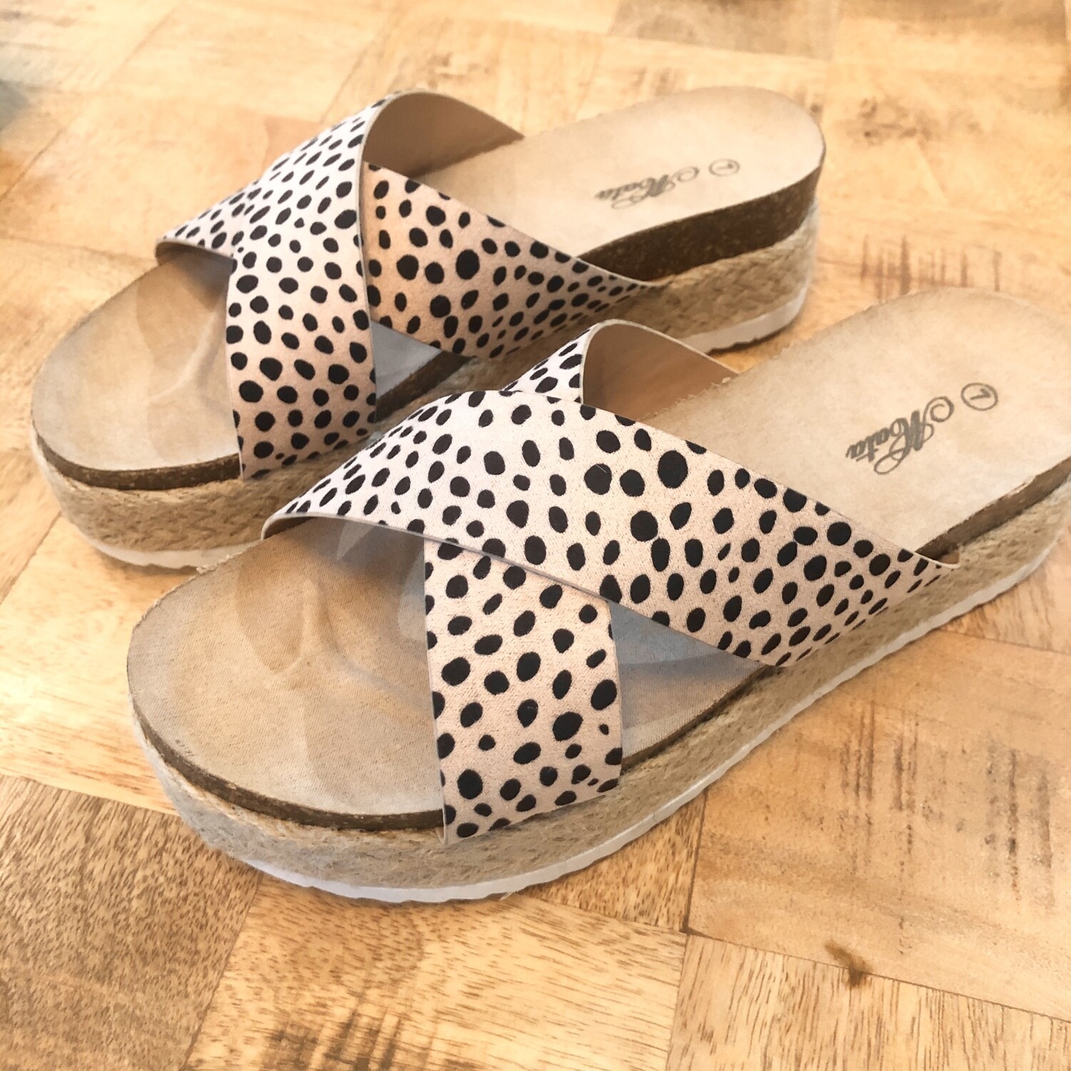 cheetah cloud slides