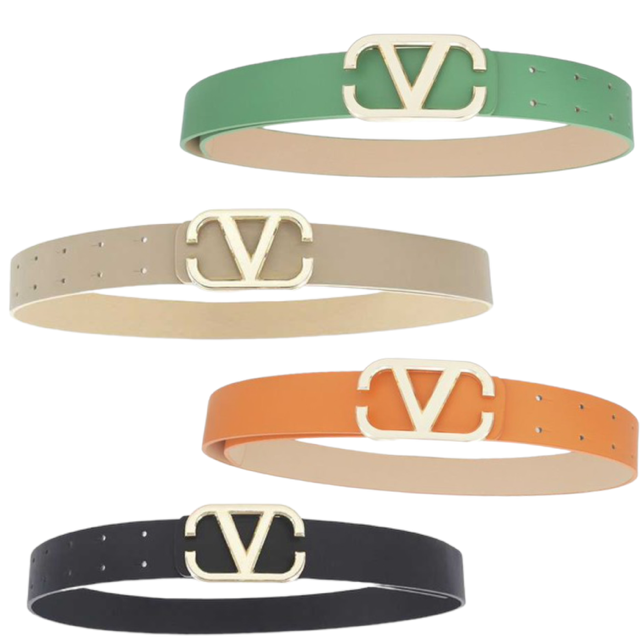 New V Belt