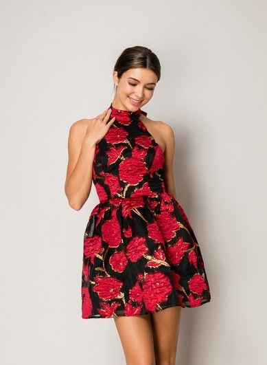 Redd Floral Jaquard Dress