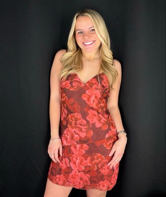 Mandy Mesh Mini Dress