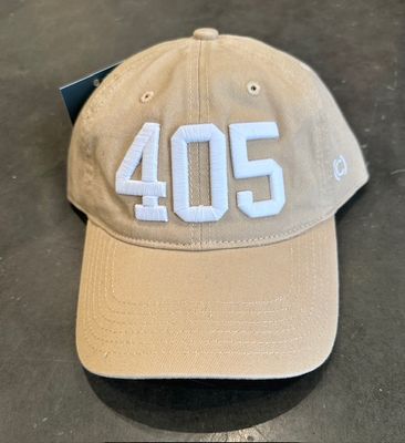 405 Dad Hat-Tan