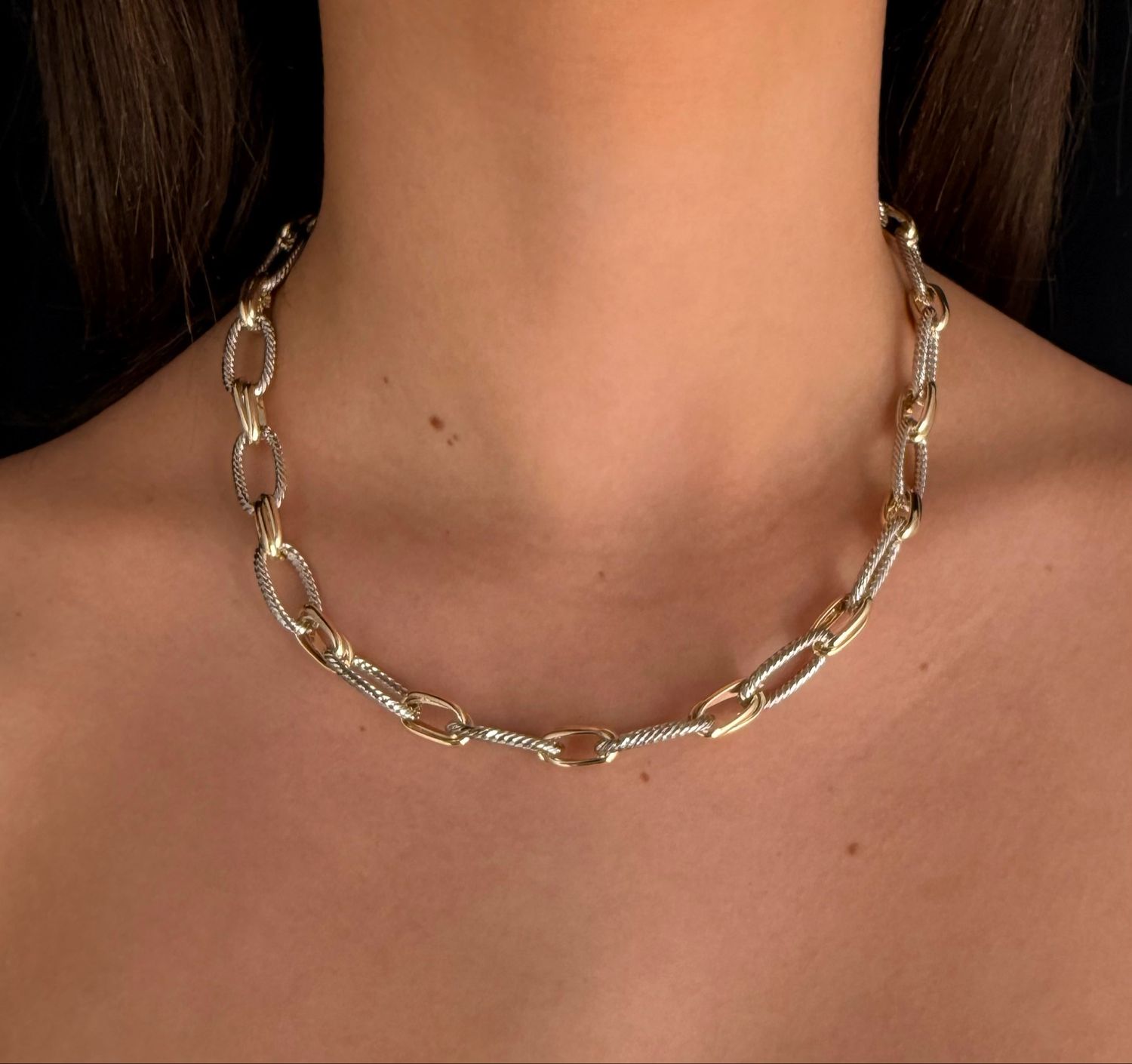 Two Tone Linked Up Necklace