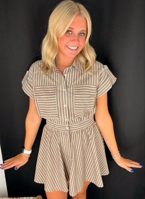 Brown Stripe Poplin Dress