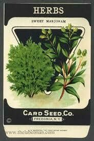 Herb Seeds