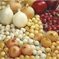 Onion Sets & Seed Potatoes