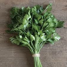 Parsley Giant of Italy (3
