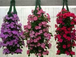 Hanging Flower Pouches