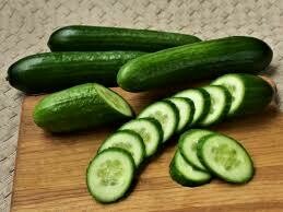 Cucumber Plants