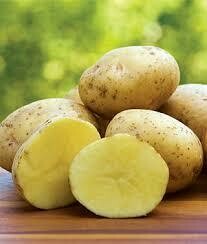 Seed Potatoes Yukon Gold (approx 3 lb bag) $9.99