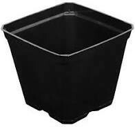 Black 4 1/2" Square Pot (Empty no plants) $0.40