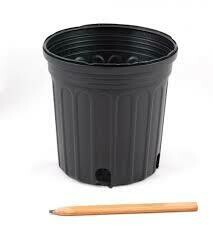 Black Round Gallon Pot (Empty no plants) $0.75