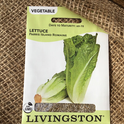 (Seed) Lettuce Parris Island Romaine $2.99