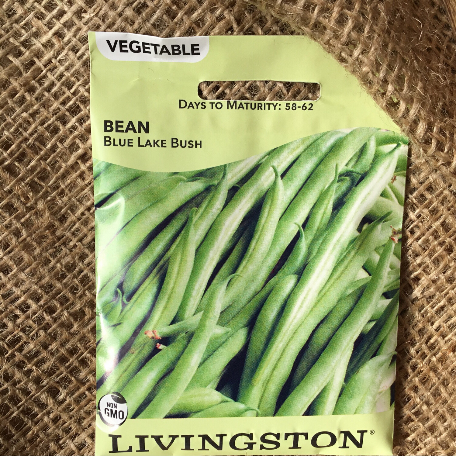 (Seed) Bean Blue Lake BUSH $2.99