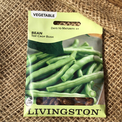 (Seed) Bean Topcrop Bush $2.99