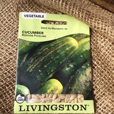 (Seed) Cucumber Boston Pickling $2.99