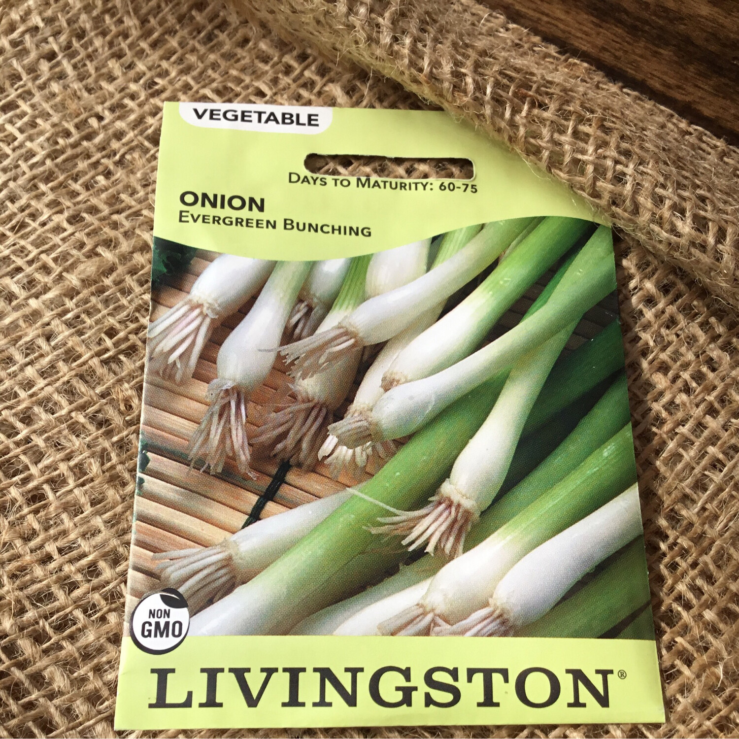 (Seed) Onion Evergreen Bunching $2.99