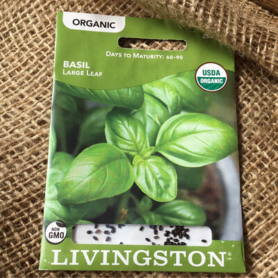(Seed) Organic Basil Large Leaf $3.79