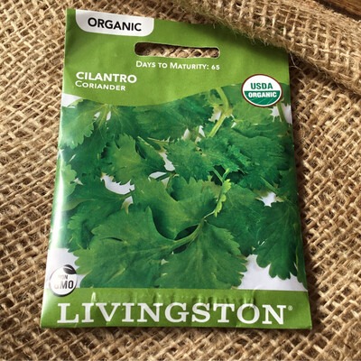 (Seed) Organic Cilantro/Coriander $3.79