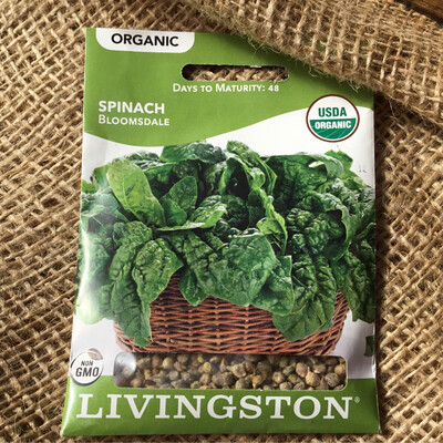 (Seed) Organic Spinach Bloomsdale $3.79